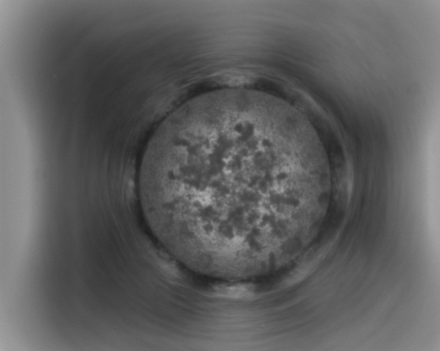 X0000115550553200911061535