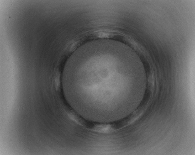 X0000115550554200911061535