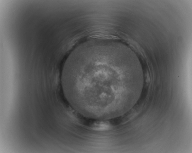 X0000115550559200911061535