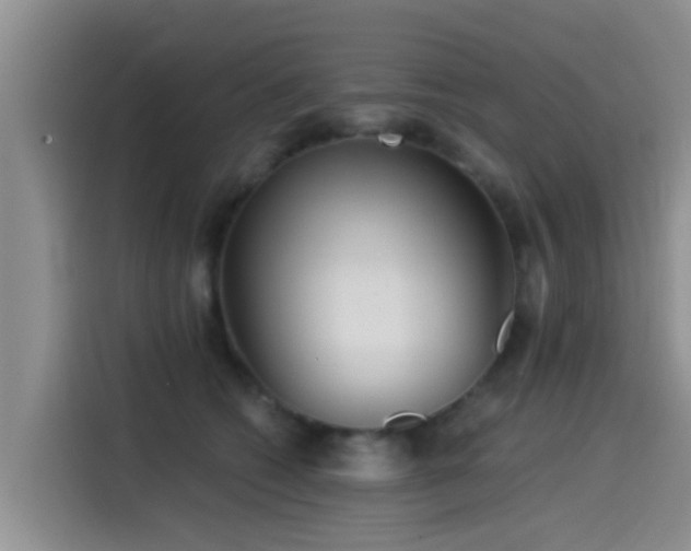 X0000115550562200911061535