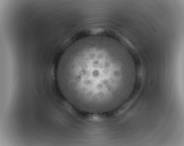 X0000115550565200911061535