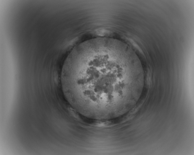 X0000115550569200911061535