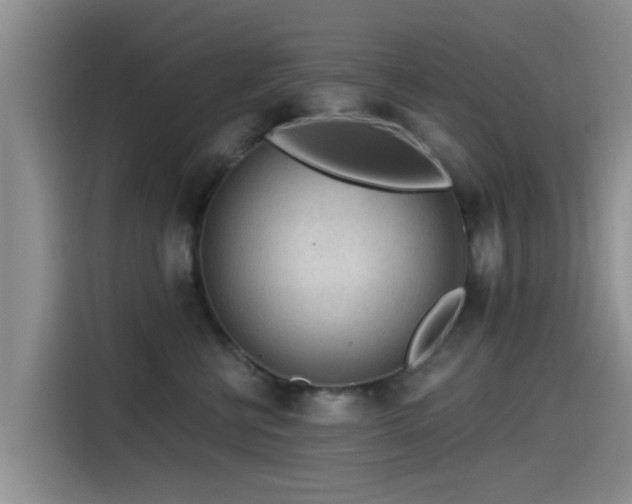 X0000115550570200911061535