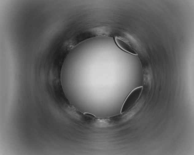 X0000115550573200911061535