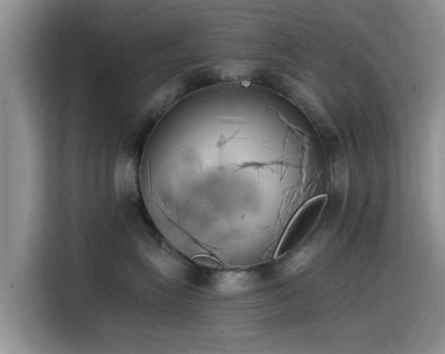 X0000115550575200911061535