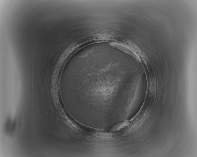 X0000115550577200911061535