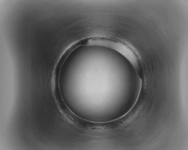 X0000115550580200911061535