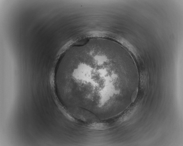 X0000115550581200911061535