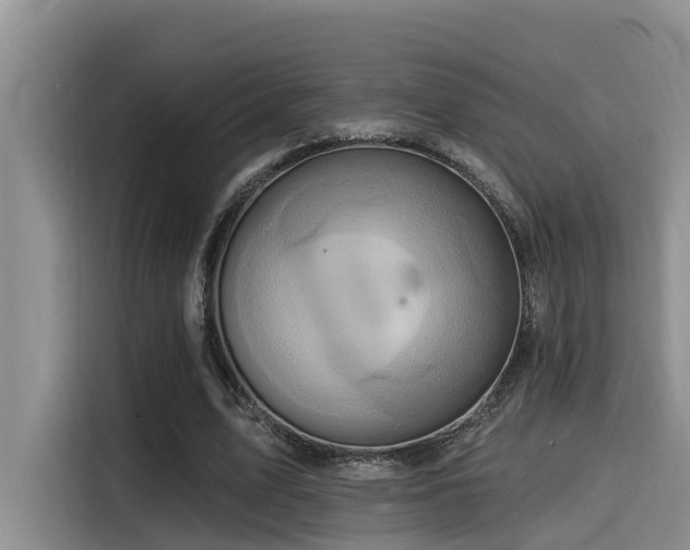 X0000115550583200911061534