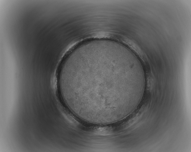 X0000115550584200911061534