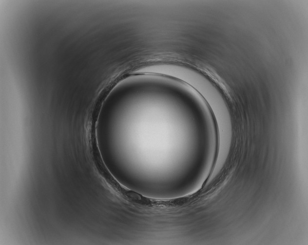 X0000115550585200911061534