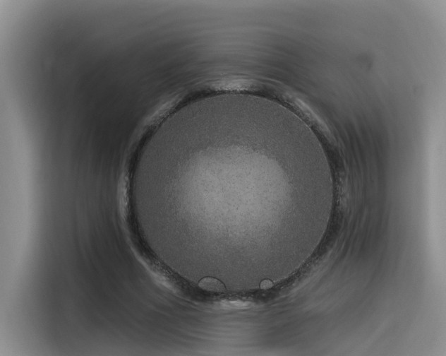 X0000115550586200911061534