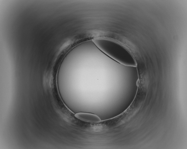 X0000115550587200911061534