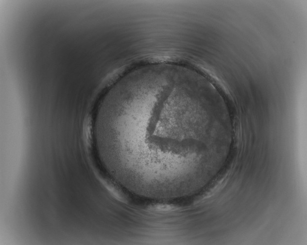 X0000115550590200911061534
