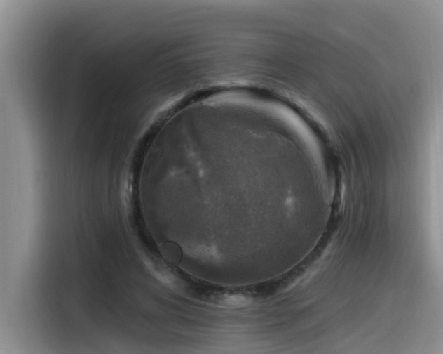 X0000115550592200911061534