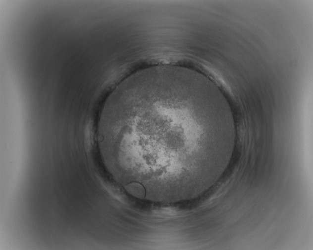 X0000115550594200911061534