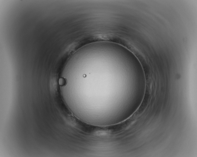 X0000115550595200911061534