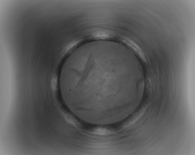 X0000115550596200911061534