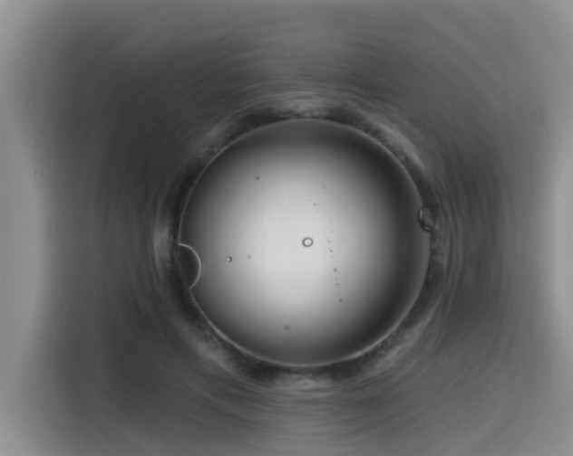 X0000115550597200911061534
