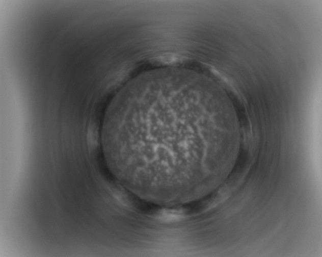 X0000115550606200911061534