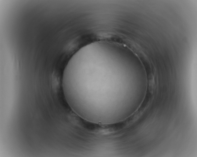 X0000115550608200911061534