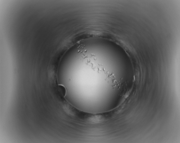 X0000115550609200911061534