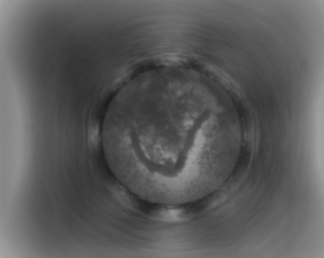X0000115550610200911061534
