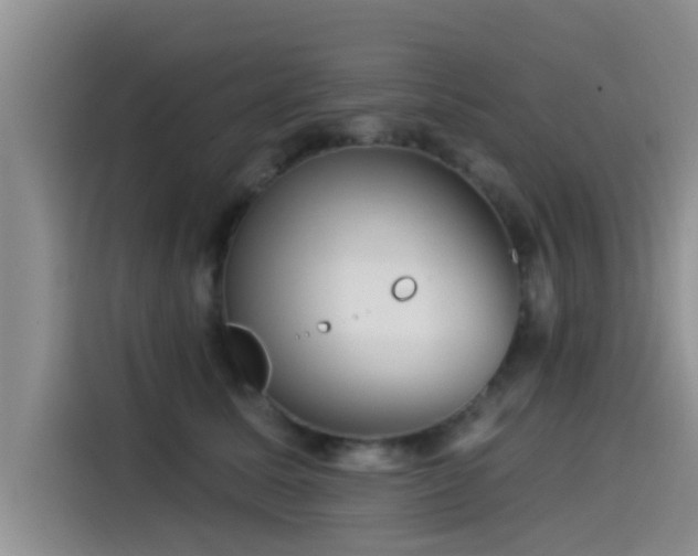 X0000115550611200911061534