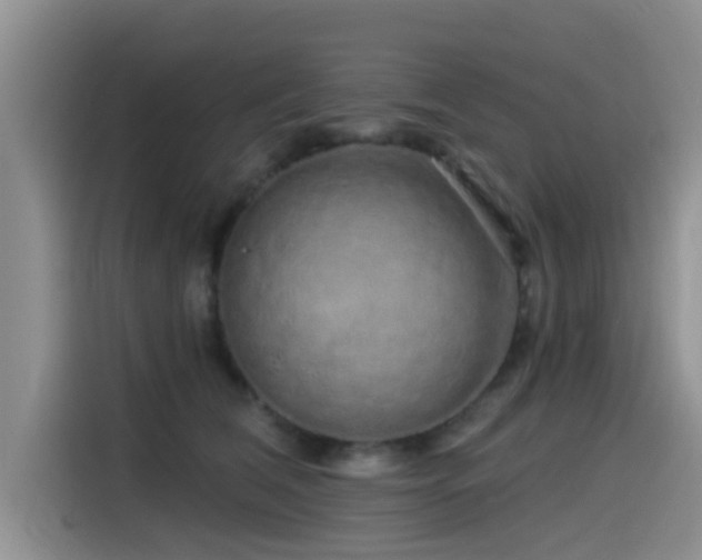 X0000115550612200911061534
