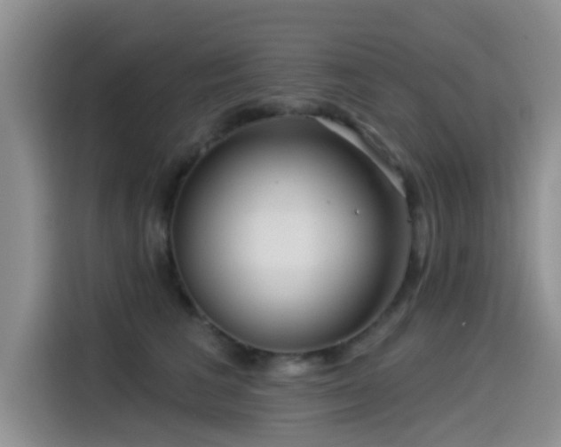 X0000115550613200911061534