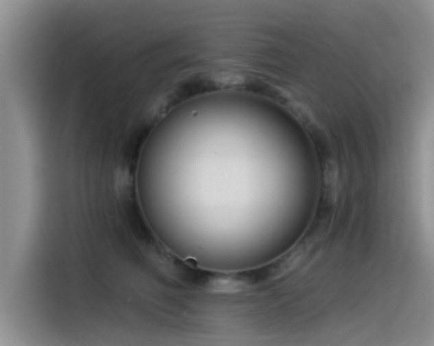 X0000115550614200911061534
