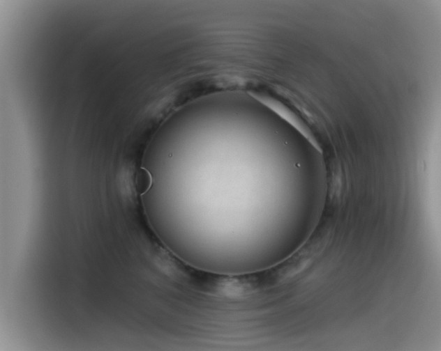 X0000115550616200911061534