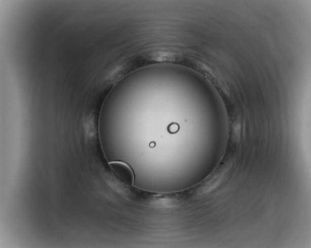 X0000115550620200911061534