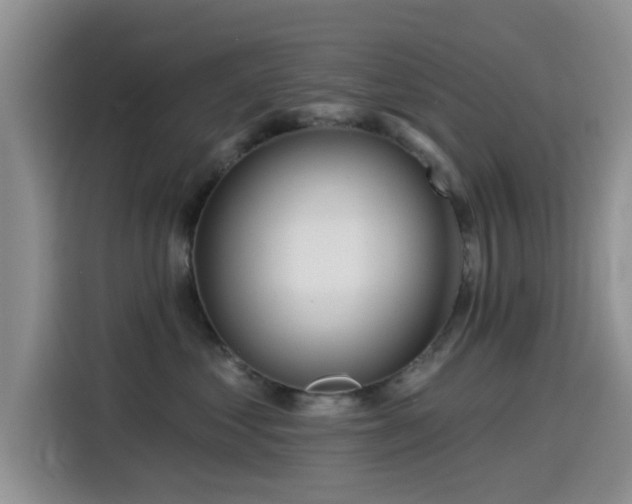 X0000115550621200911061534