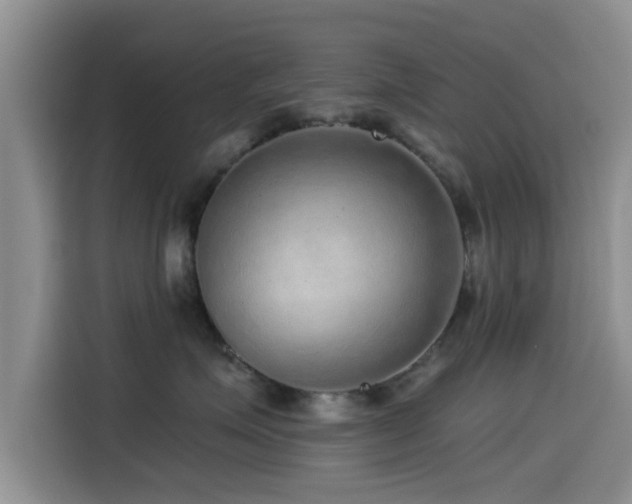 X0000115550623200911061534