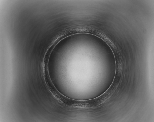 X0000115550626200911061533