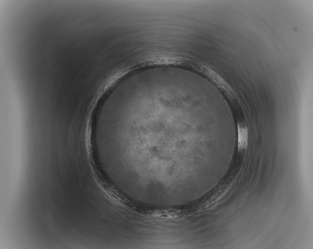 X0000115550627200911061533
