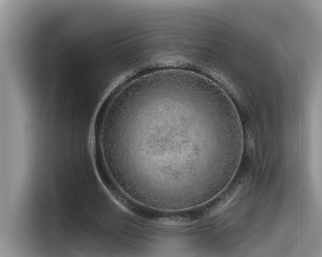 X0000115550630200911061533