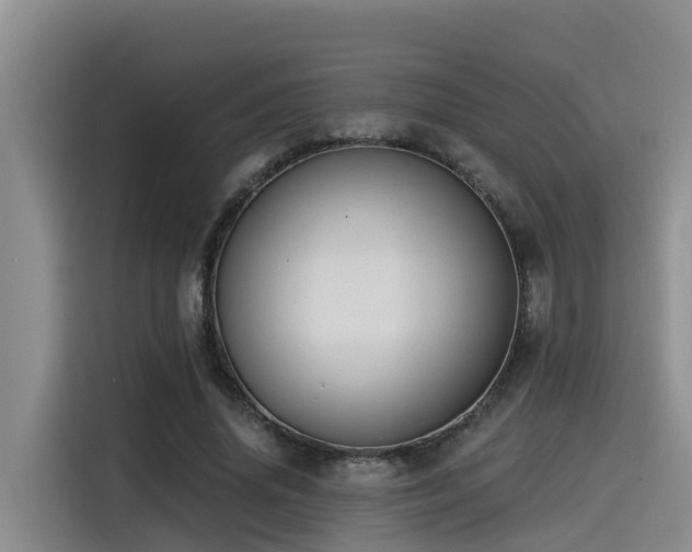X0000115550636200911061533