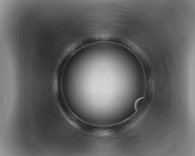 X0000115550638200911061534