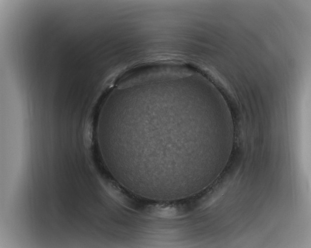 X0000115550640200911061534