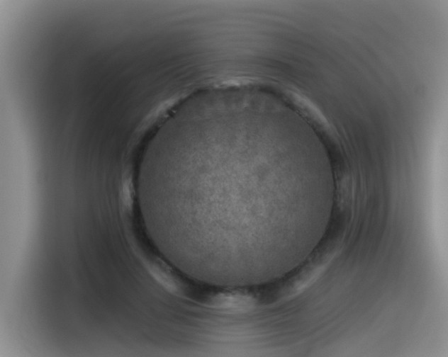 X0000115550644200911061534