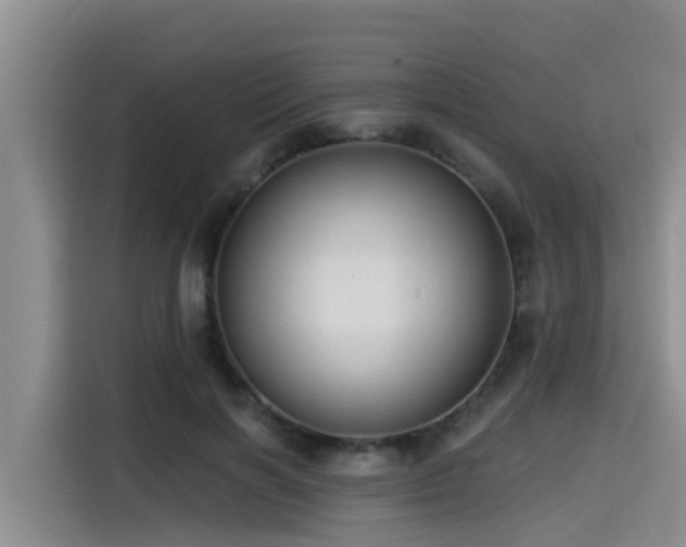 X0000115550646200911061534