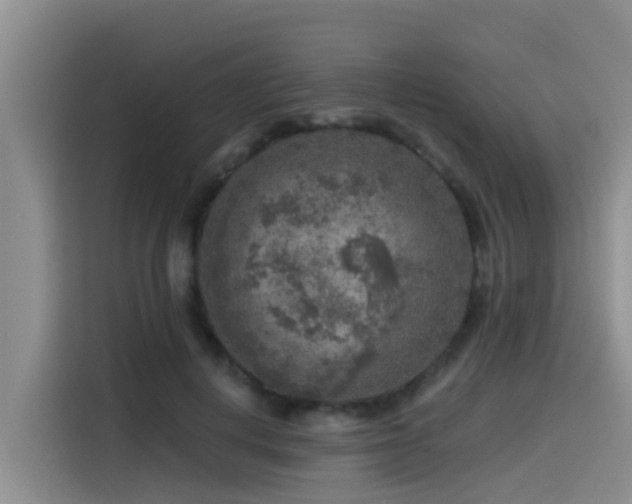 X0000115550648200911061534