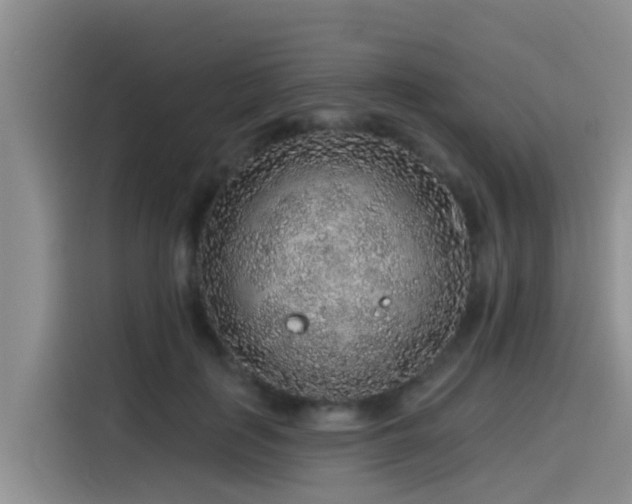 X0000115550651200911061534