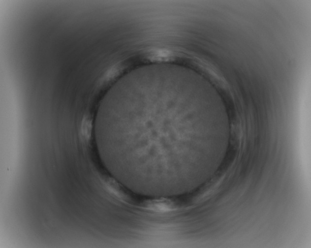 X0000115550652200911061534