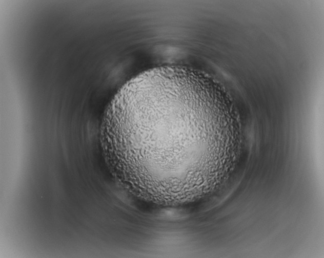 X0000115550657200911061534