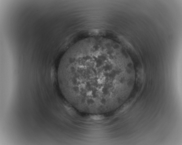 X0000115550659200911061534
