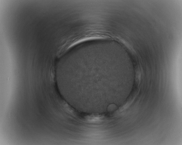 X0000115550661200911061534