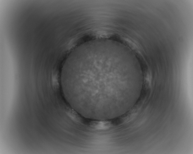 X0000115550663200911061534